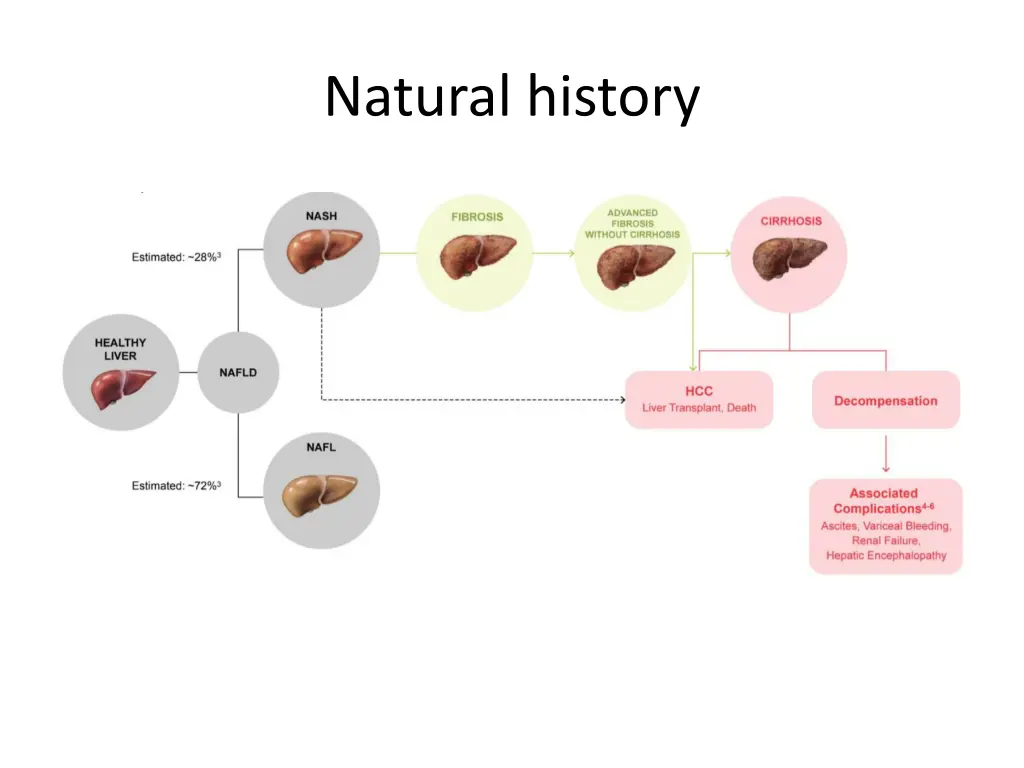 natural history 1