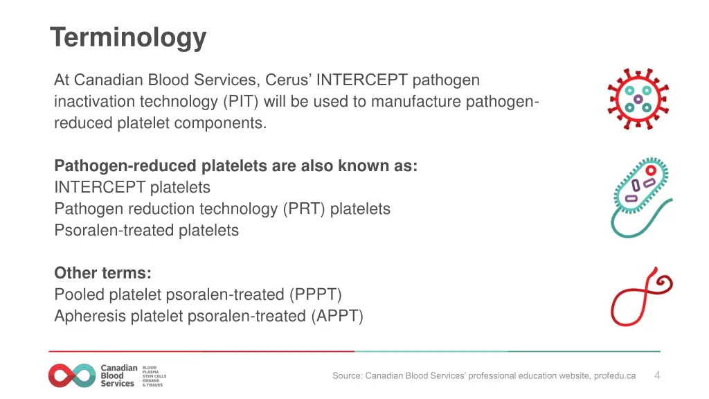 terminology