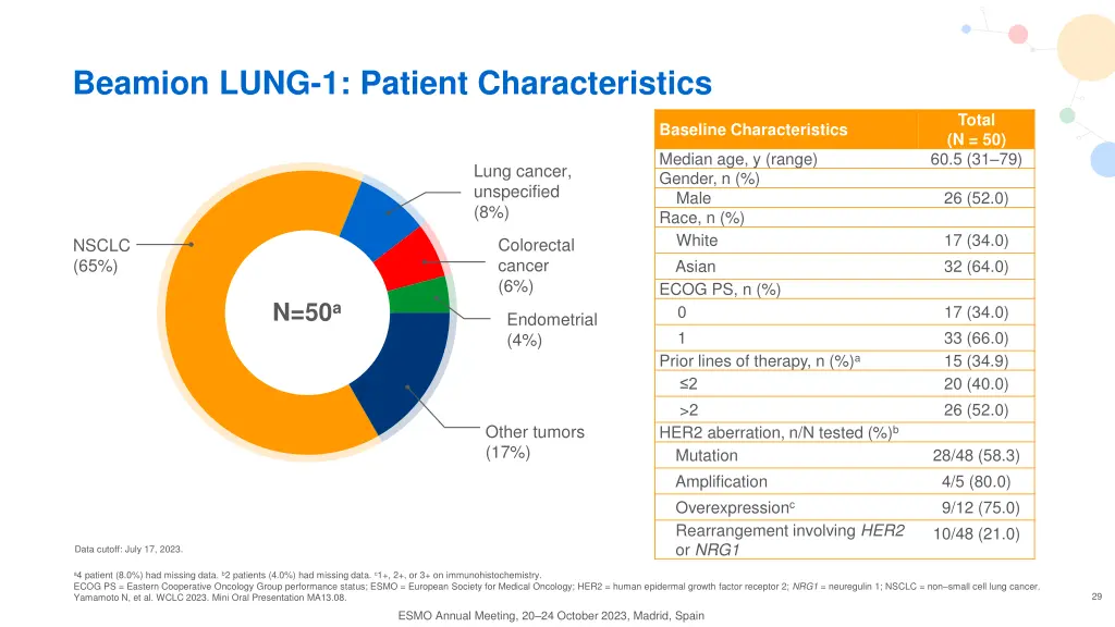 beamion lung 1 patient characteristics