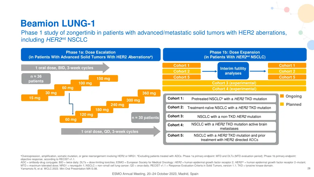 beamion lung 1 phase 1 study of zongertinib