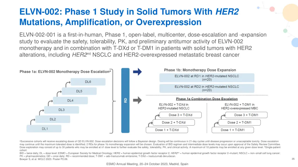 elvn 002 phase 1 study in solid tumors with her2