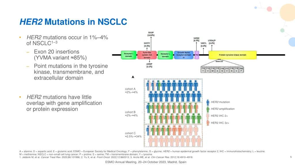 her2 mutations in nsclc