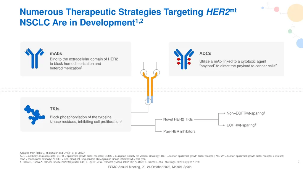 numerous therapeutic strategies targeting her2