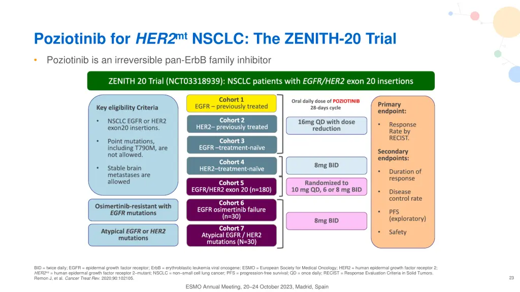 poziotinib for her2 mt nsclc the zenith 20 trial