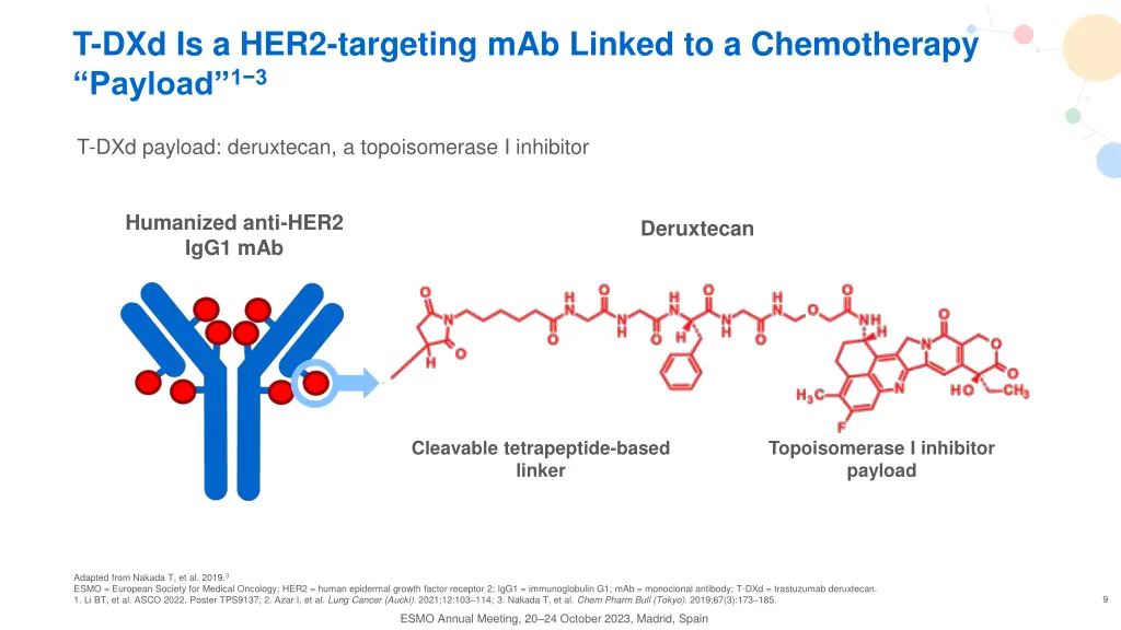 t dxd is a her2 targeting mab linked