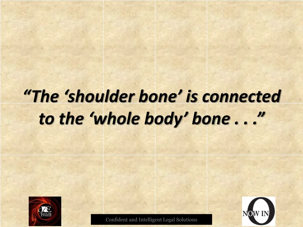the shoulder bone is connected to the whole body
