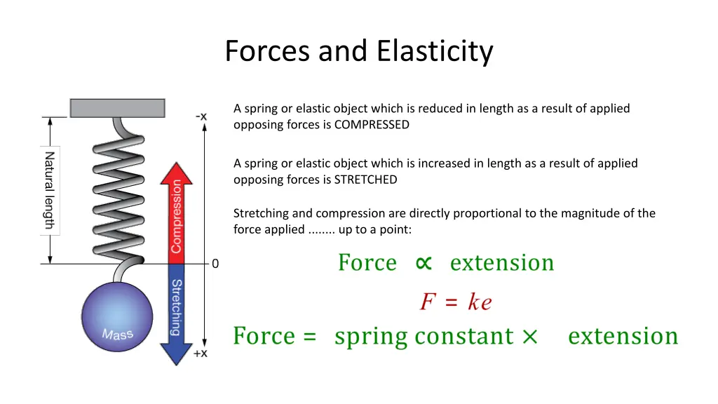 forces and elasticity 3