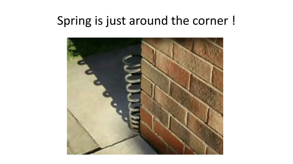 spring is just around the corner