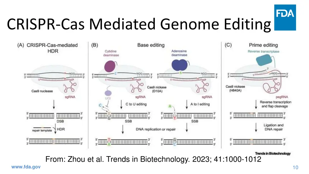 crispr cas mediated genome editing