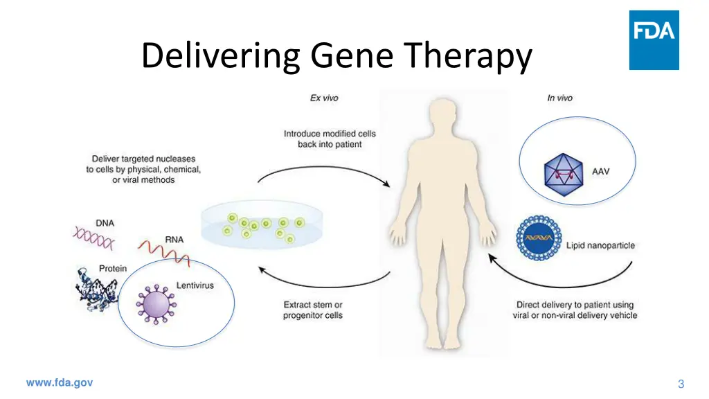 delivering gene therapy