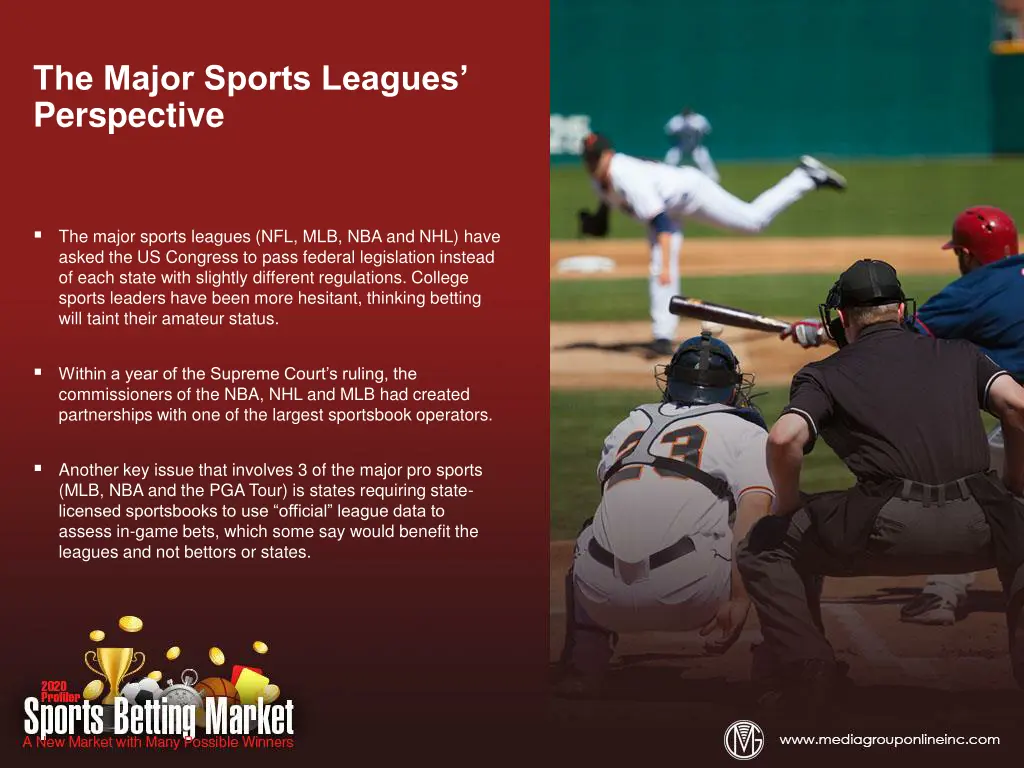 the major sports leagues perspective