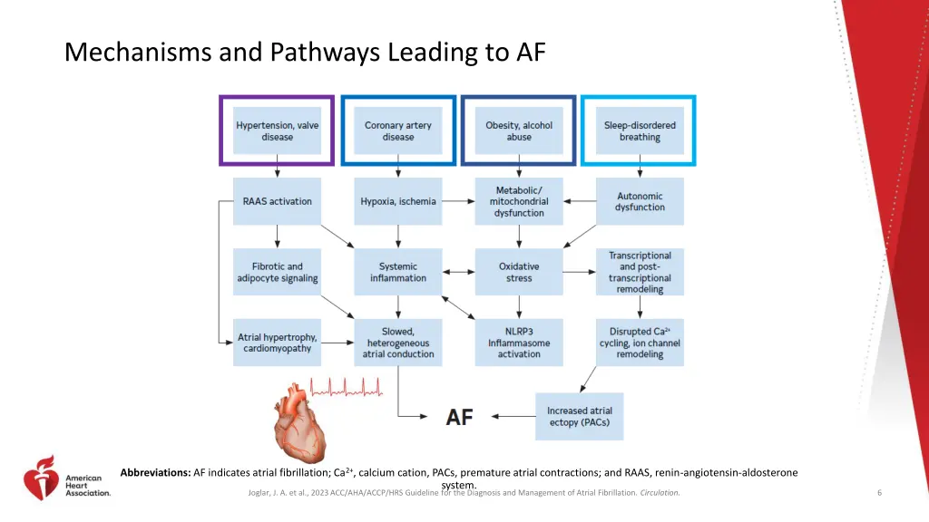 mechanisms and pathways leading to af