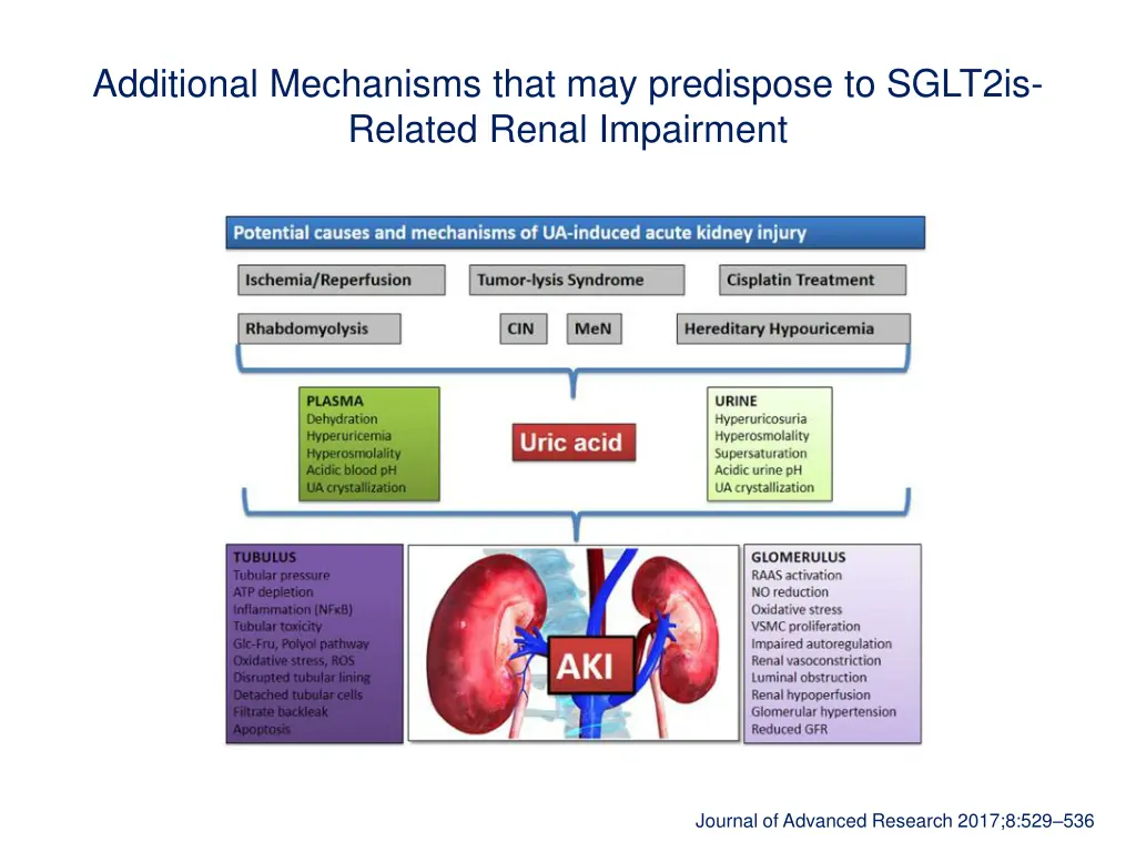 additional mechanisms that may predispose