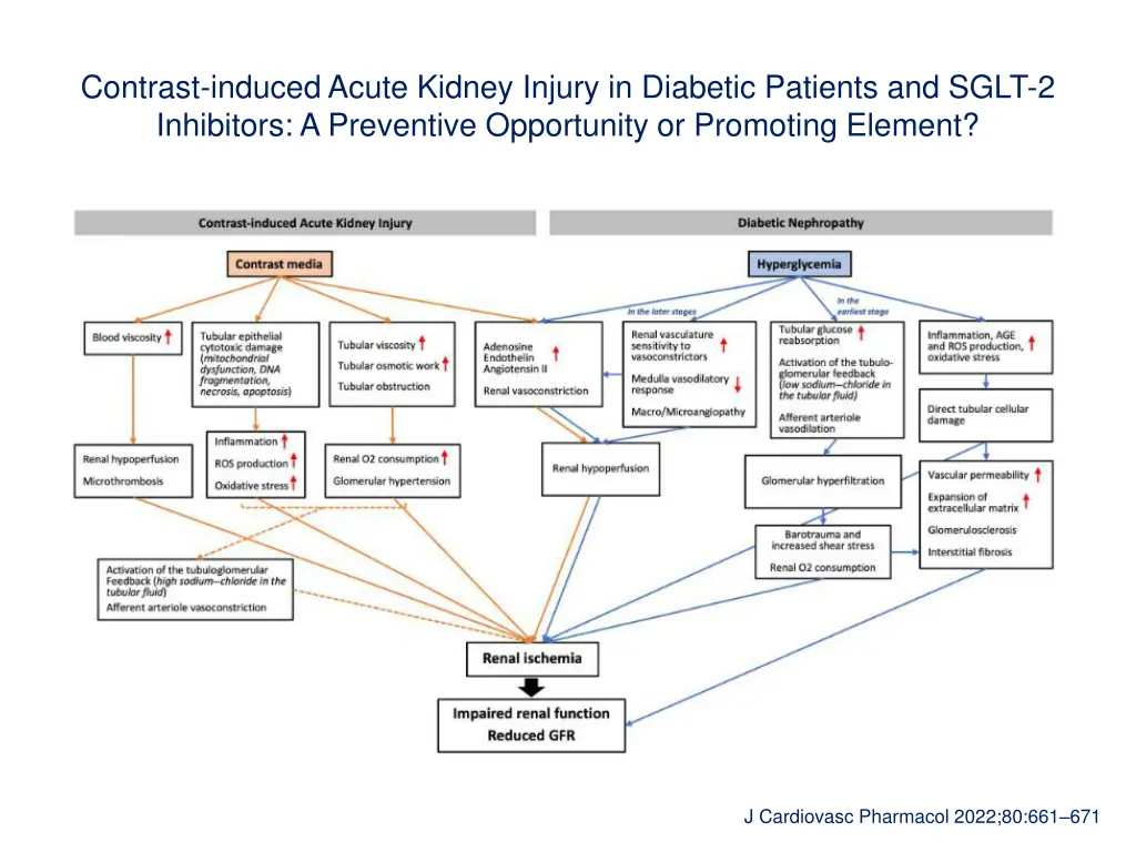 contrast induced acute kidney injury in diabetic