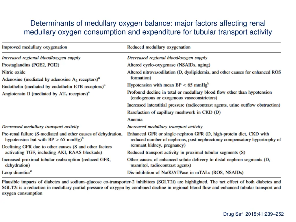 determinants of medullary oxygen balance major