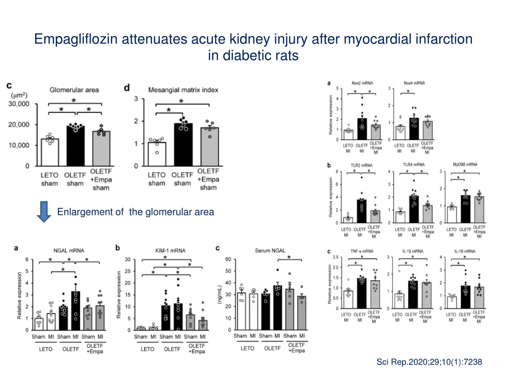 empagliflozin attenuates acute kidney injury