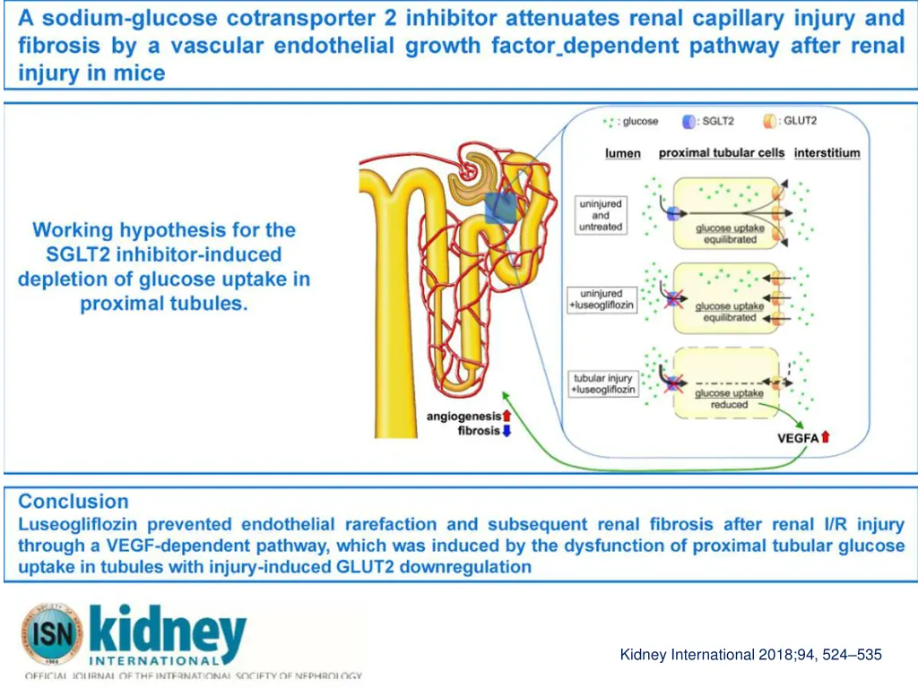 kidney international 2018 94 524 535