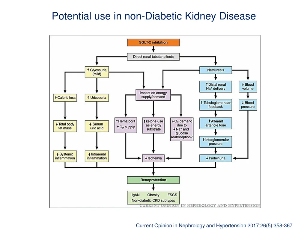 potential use in non diabetic kidney disease