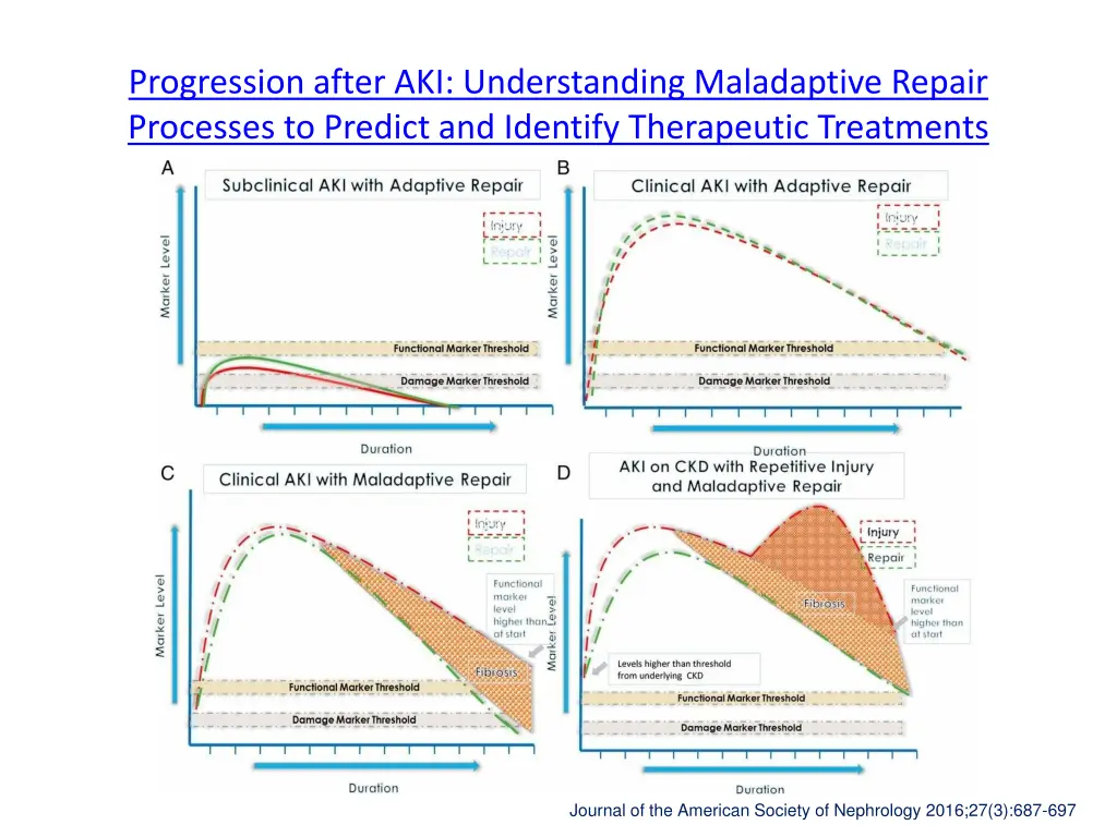 progression after aki understanding maladaptive