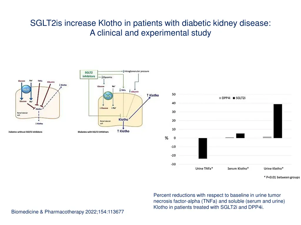 sglt2is increase klotho in patients with diabetic