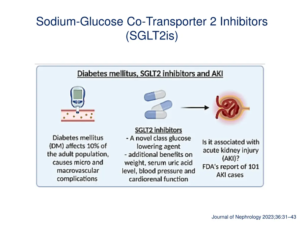 sodium glucose co transporter 2 inhibitors sglt2is