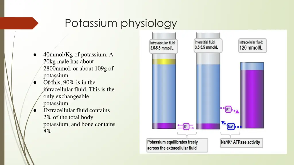 potassium physiology