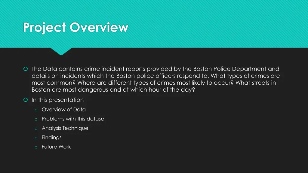 project overview