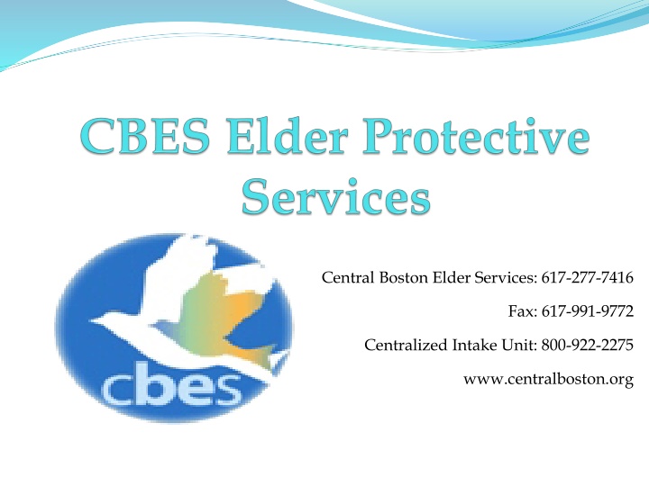 central boston elder services 617 277 7416