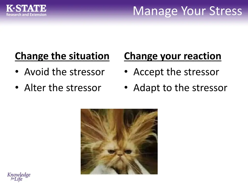 manage your stress