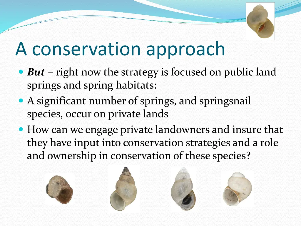 a conservation approach 1