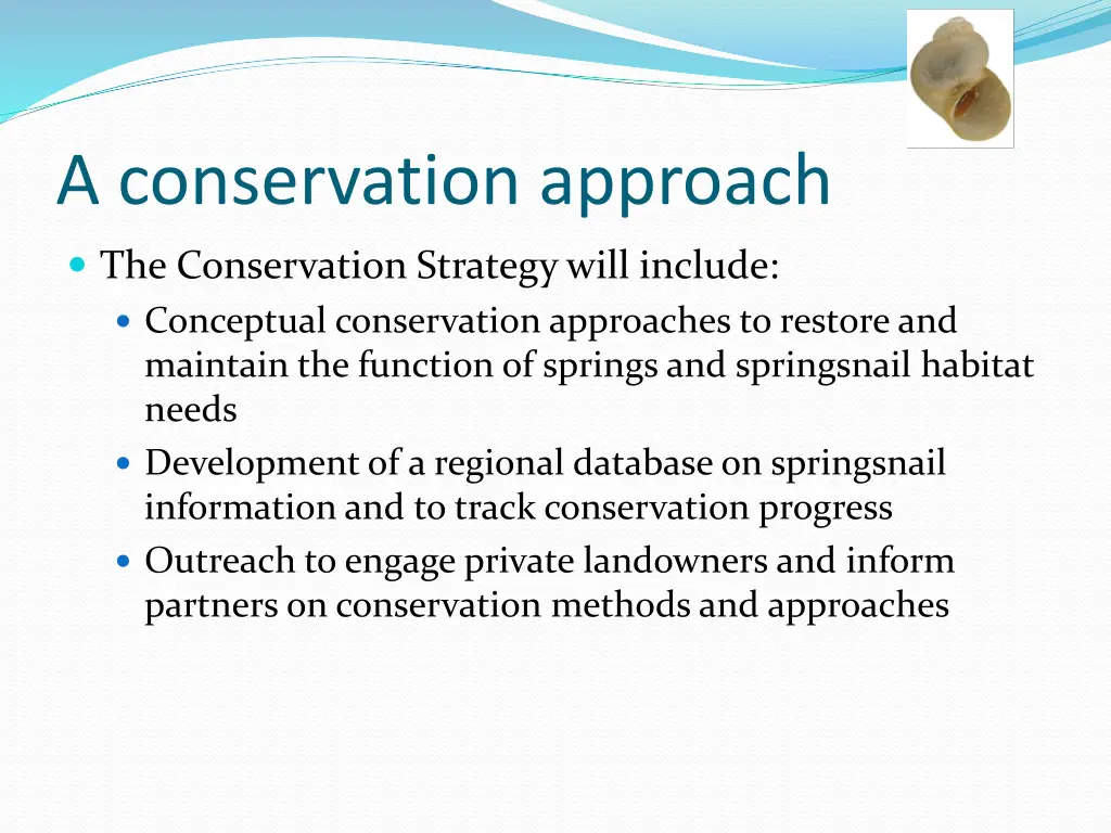 a conservation approach