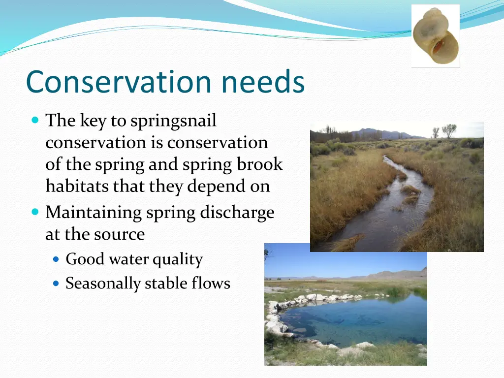 conservation needs