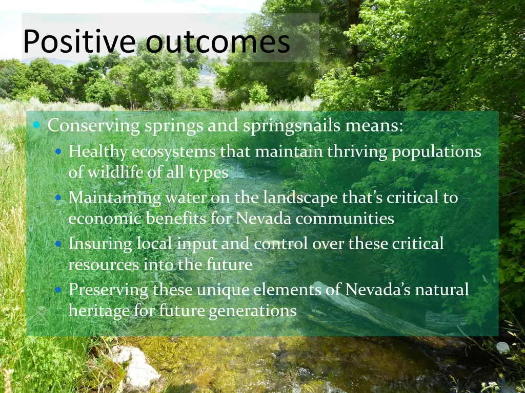 positive outcomes 1