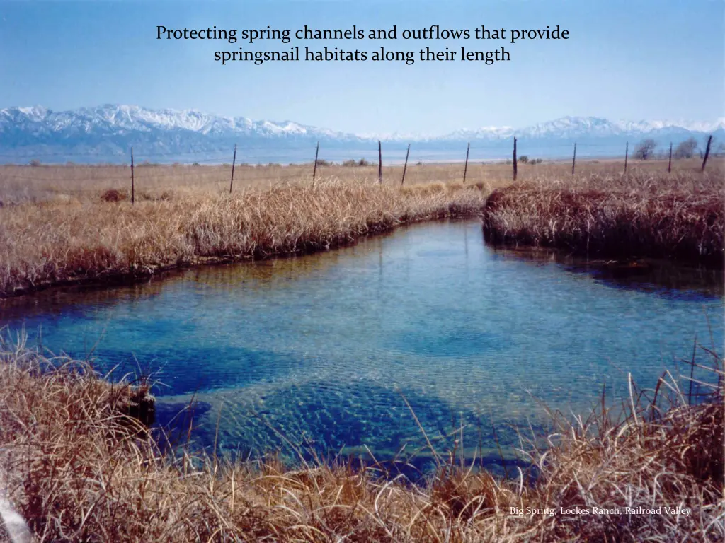 protecting spring channels and outflows that
