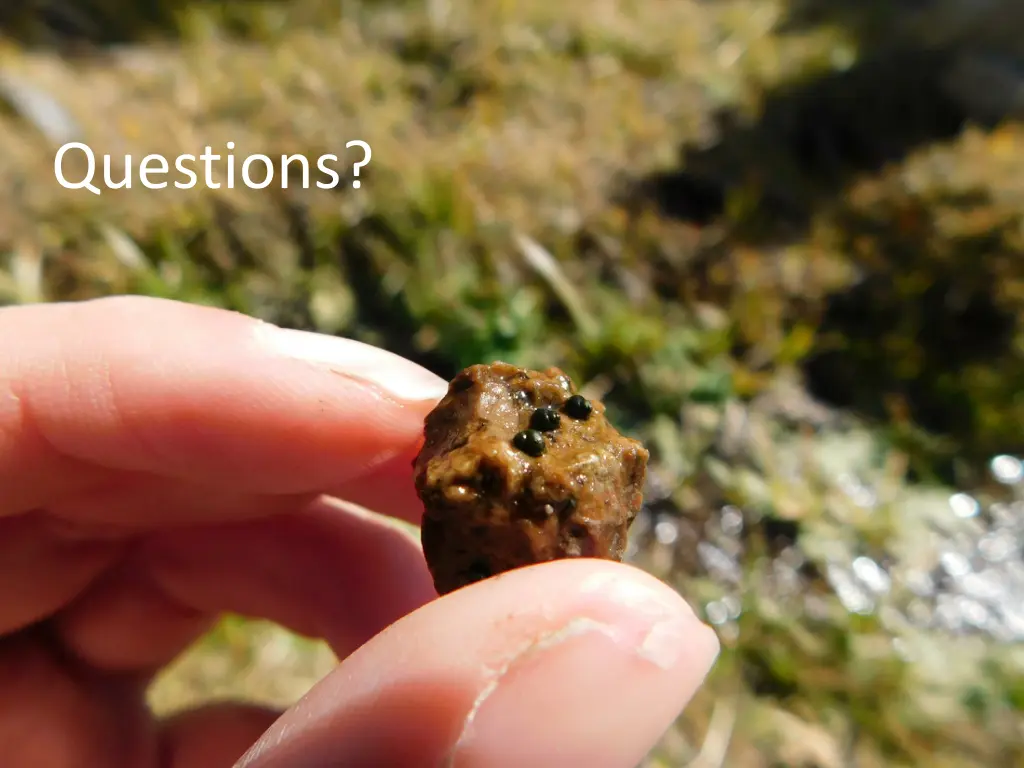 questions