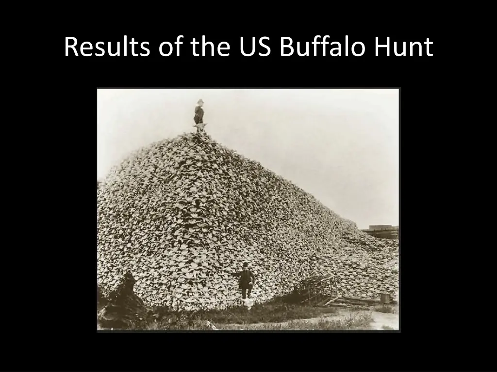results of the us buffalo hunt