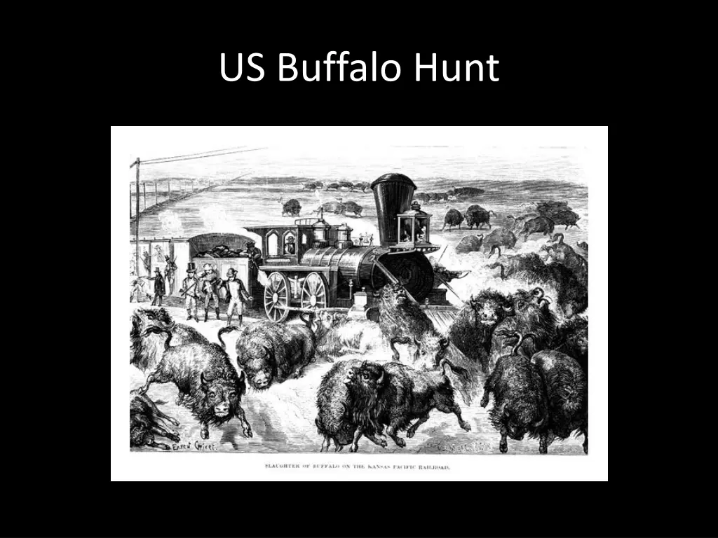 us buffalo hunt 1
