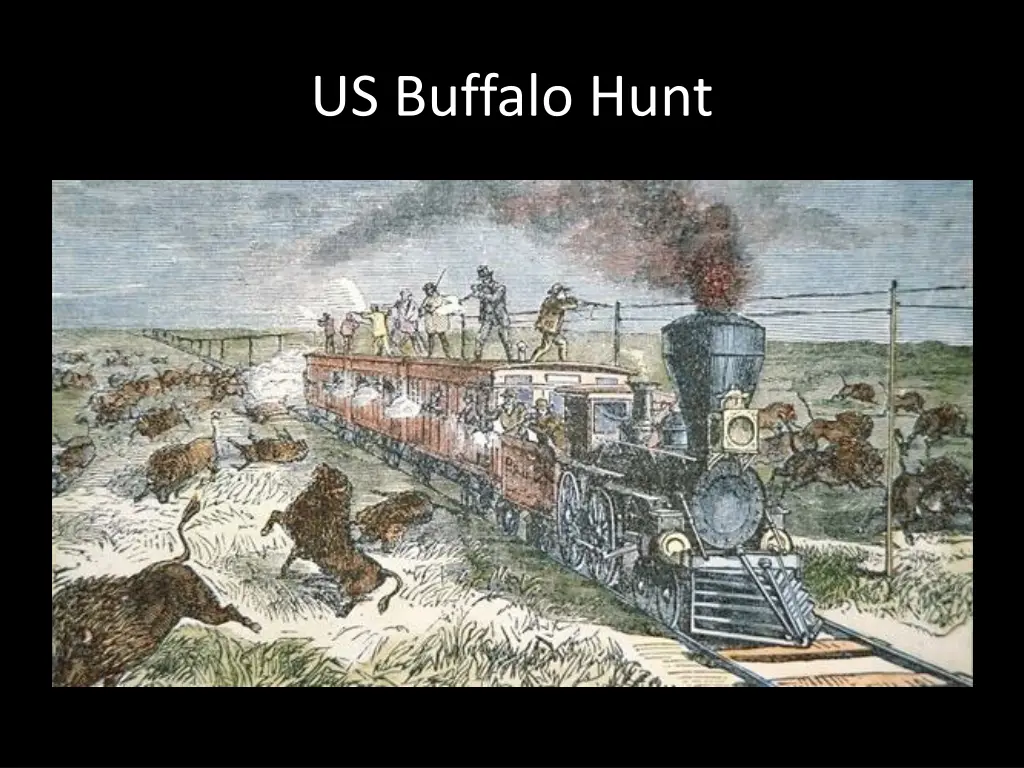 us buffalo hunt