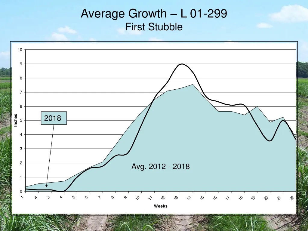 average growth l 01 299 first stubble