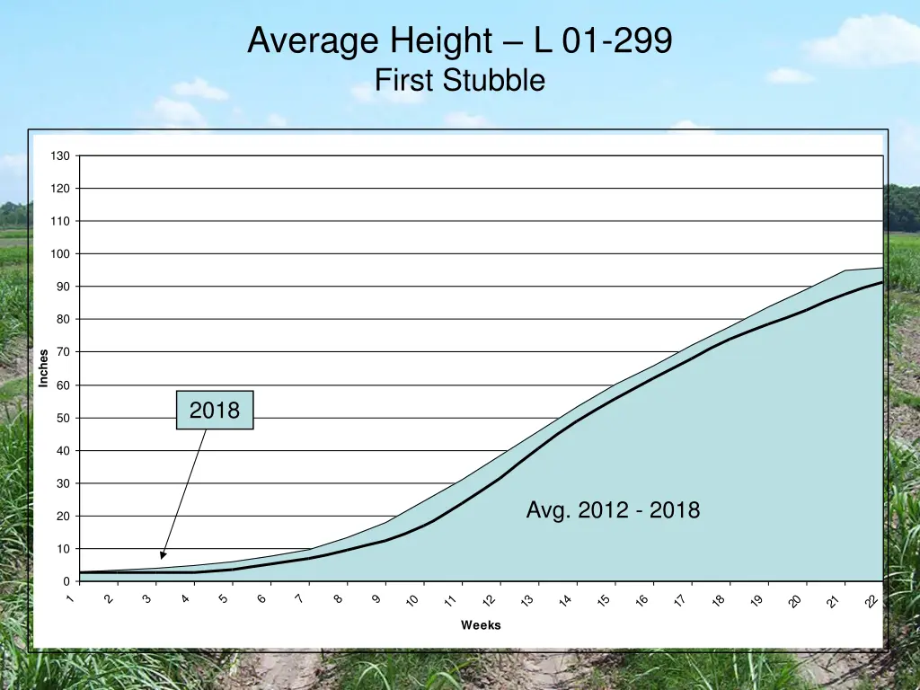 average height l 01 299 first stubble