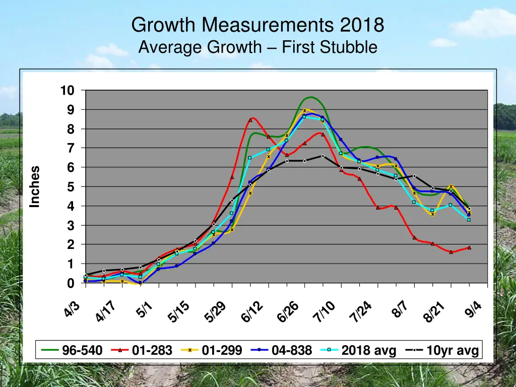 growth measurements 2018 average growth first