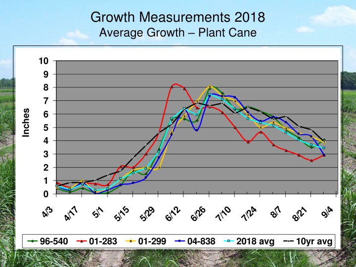 growth measurements 2018 average growth plant cane