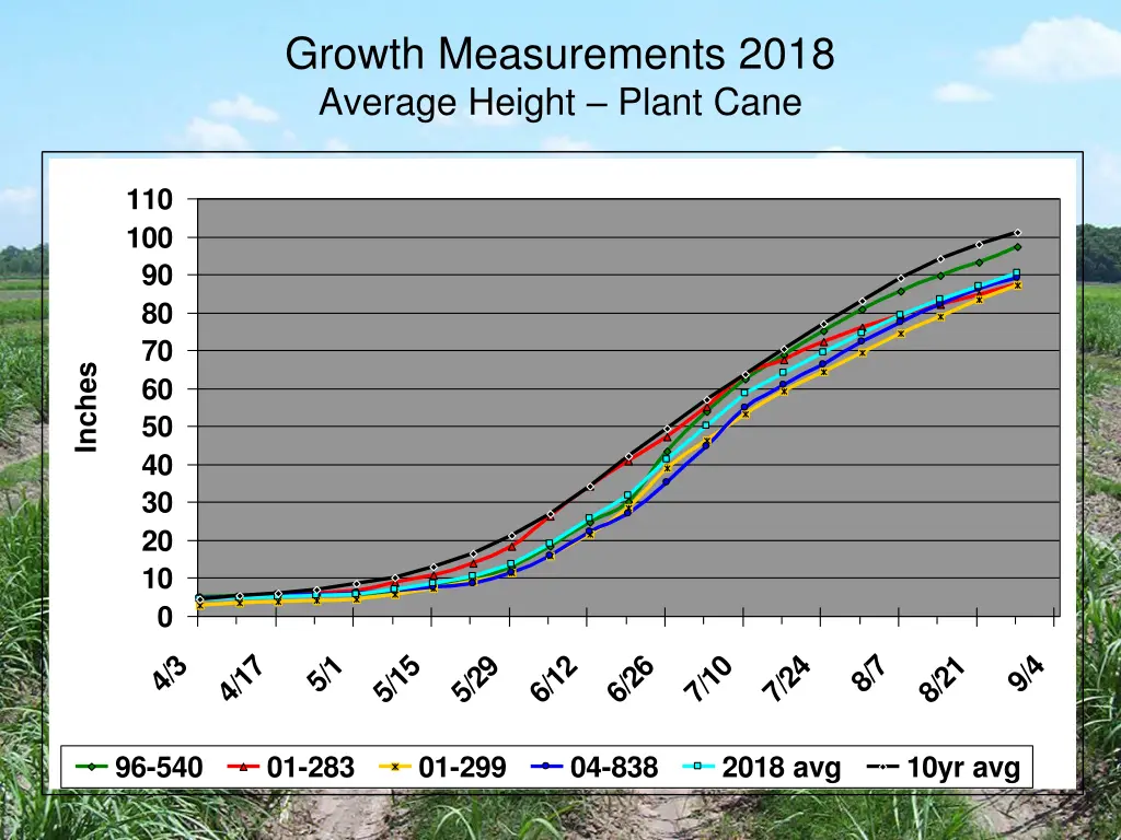 growth measurements 2018 average height plant cane