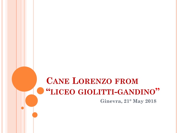 c ane l orenzo from liceo giolitti gandino
