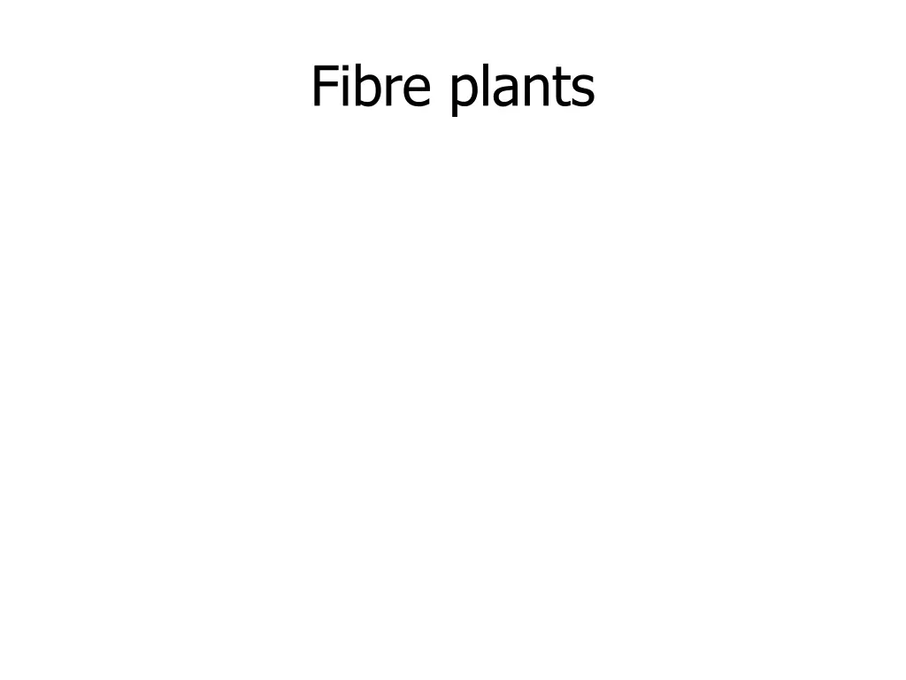 fibre plants