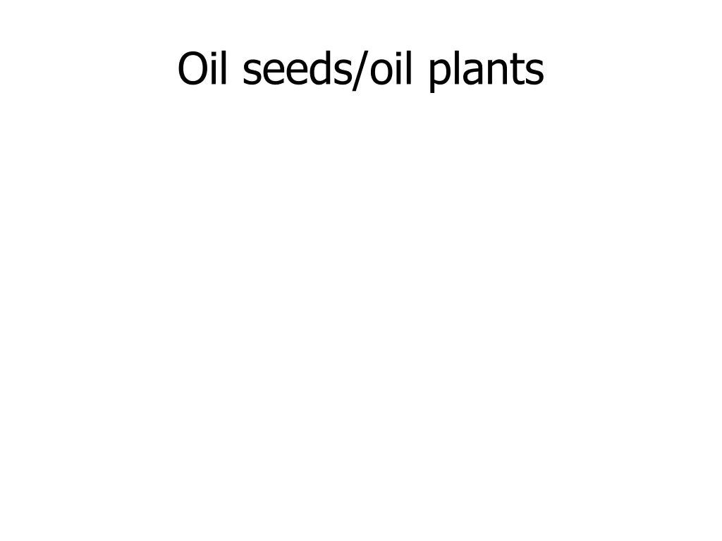 oil seeds oil plants