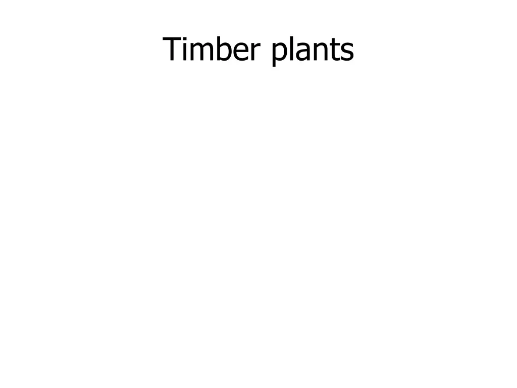 timber plants