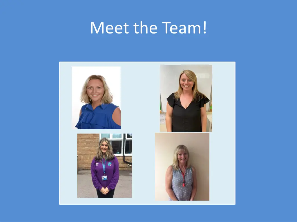 meet the team