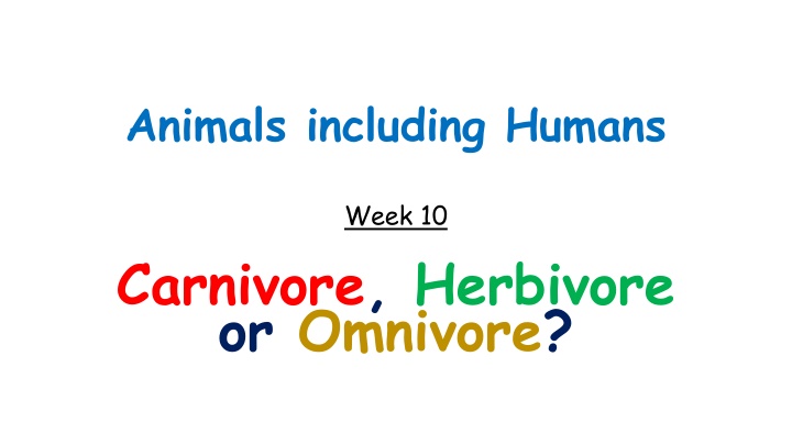 animals including humans