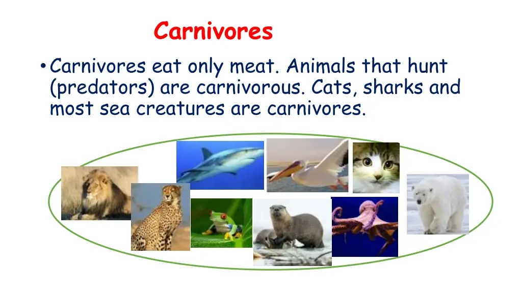 carnivores